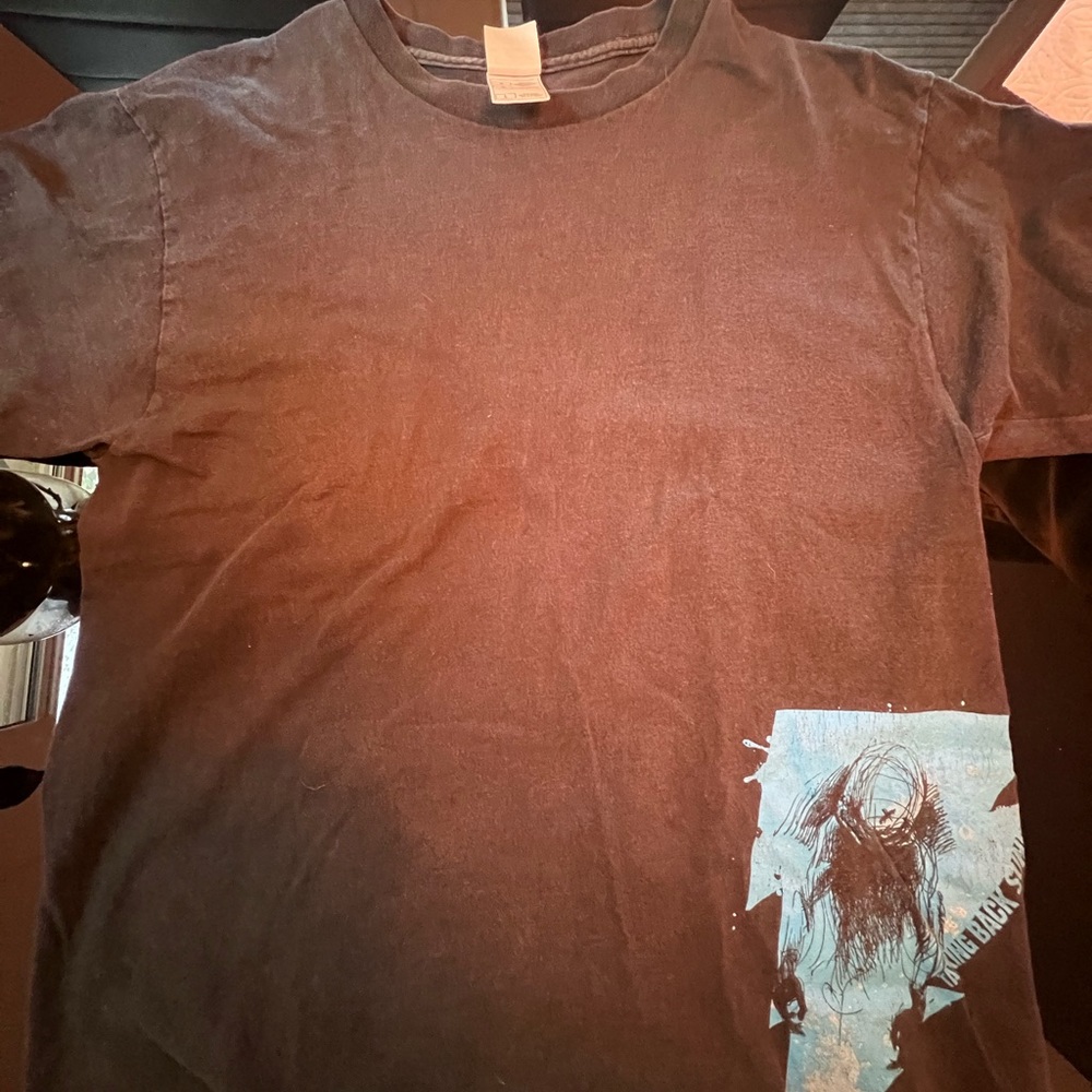 Vintage Taking Back Sunday band tshirt